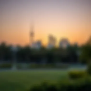 The Role of Parks in Urban Living Sunset view over a park, highlighting its role in enhancing urban living