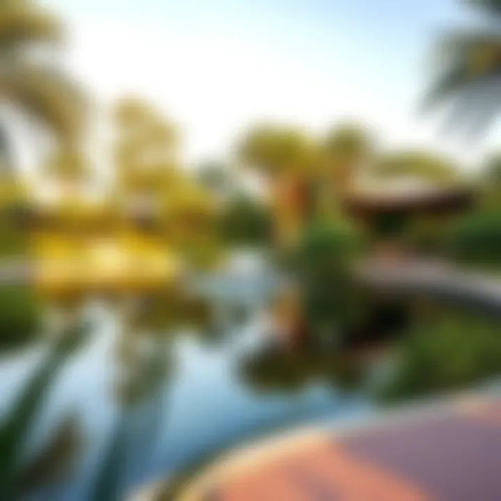 Serenity and Facilities in Urban Parks A tranquil lake surrounded by park facilities and walking paths