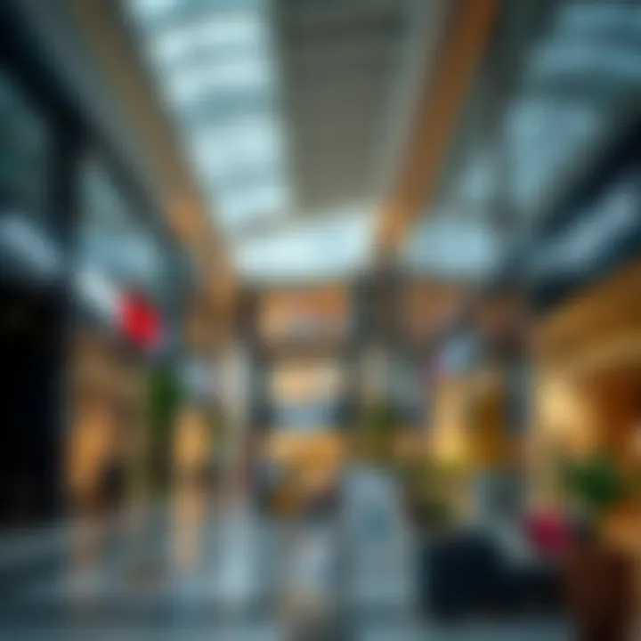 Diverse Retail Experience in Dubai Vibrant shopping outlet in Dubai showcasing a mix of luxury and local brands