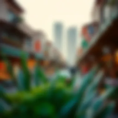 Vibrant marketplace reflecting the culture of Falcon City