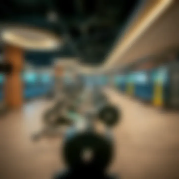 Innovative Fitness Equipment at GymNation Interior view of GymNation showcasing state-of-the-art equipment