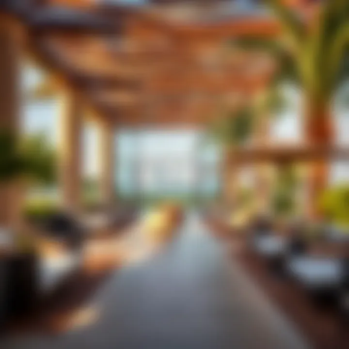 Luxurious amenities available in Mira Oasis