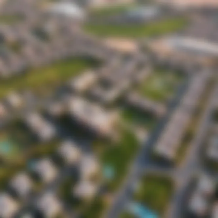 Aerial Perspective of Nad Al Sheba Gardens Aerial view of Nad Al Sheba Gardens showcasing the lush greenery and residential layout