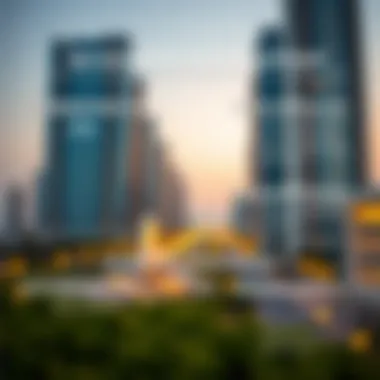 Infographic depicting services offered by the Dubai Land Department