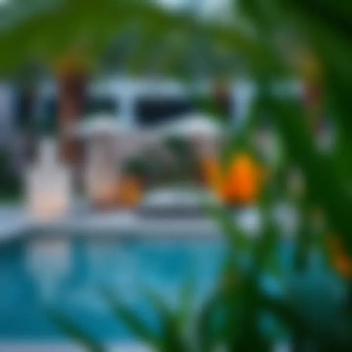 Serene outdoor space emphasizing sustainable living and natural beauty