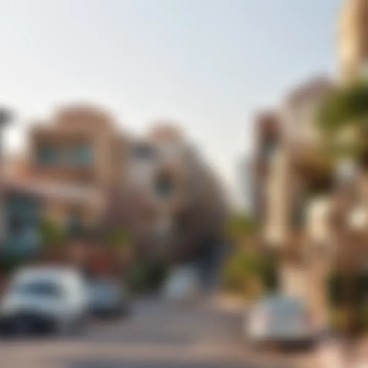 A vibrant neighborhood in Dubai with diverse property types