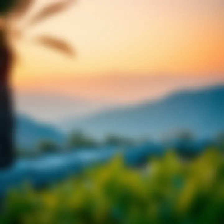 Seasonal Changes in Dubai Hills Seasonal changes in Dubai Hills affecting real estate market dynamics