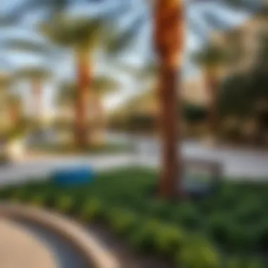 Beautiful parks and recreational spaces in Al Warqa