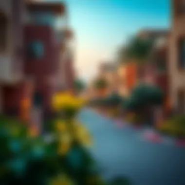 Vibrant Neighborhood Featuring One BHK Homes Vibrant neighborhood in Dubai showcasing one BHK homes