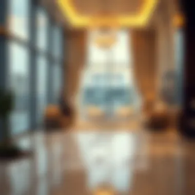 Infographic illustrating types of visas